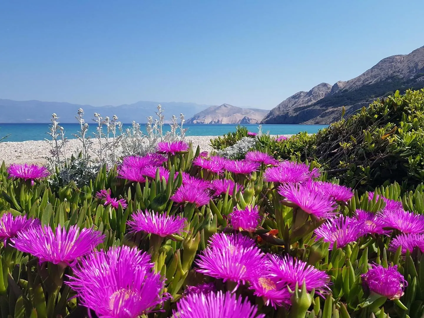 Apartments Hrabric Baška